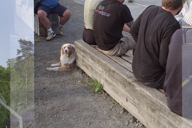 26 GOSDK Skejtuj Denně Karviná, Lodičky kopie